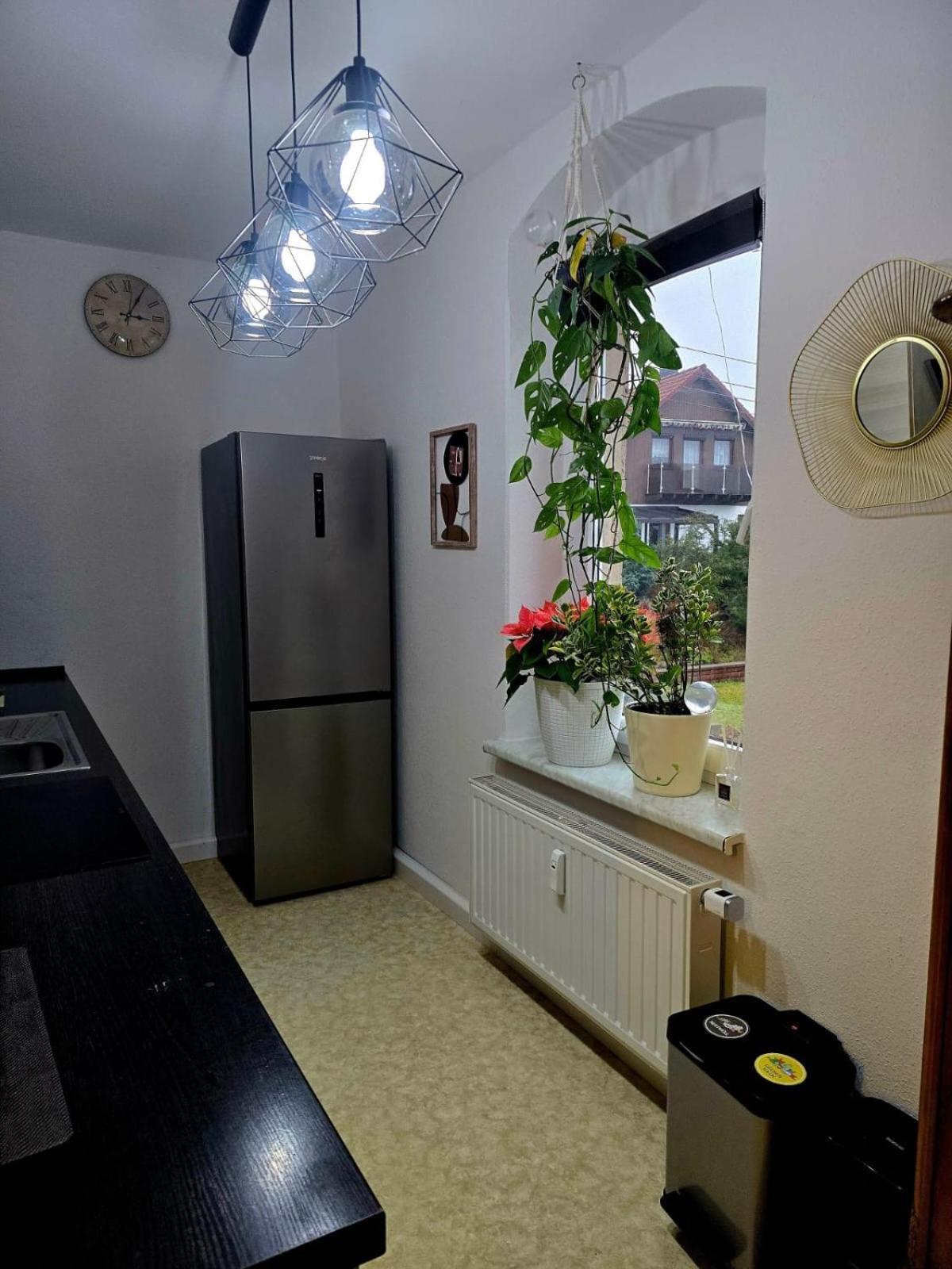 Cozy Pet-Friendly Apartment Майсен Екстер'єр фото